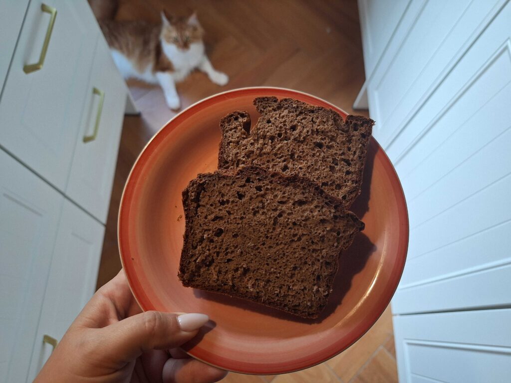 ajdov kruh brez kvasa, recept 2025